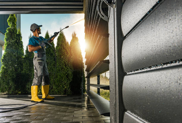 Best Graffiti Removal  in Vermillion, SD